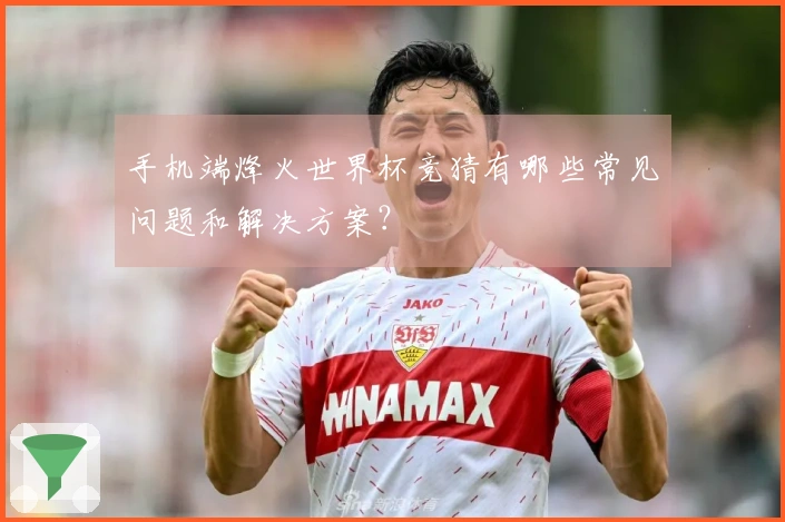 手机端烽火世界杯竞猜有哪些常见问题和解决方案？