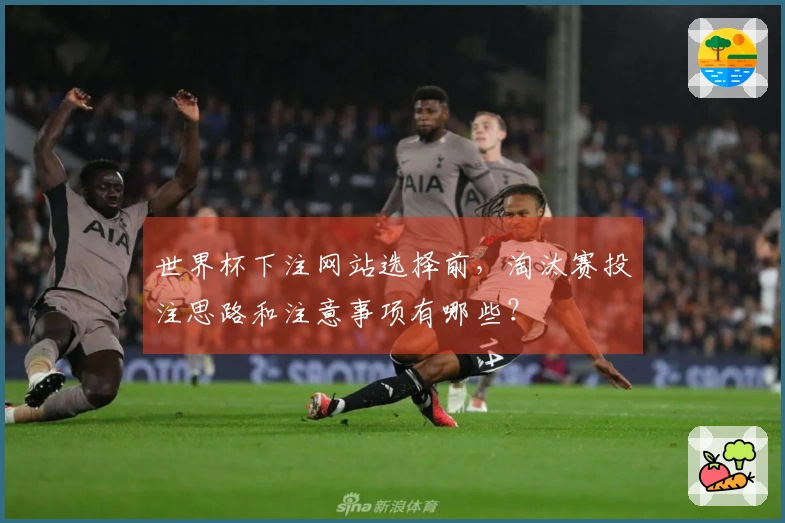 世界杯下注网站选择前，淘汰赛投注思路和注意事项有哪些？