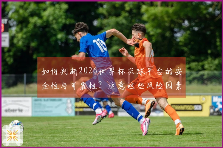 如何判断2026世界杯买球平台的安全性与可靠性？注意这些风险因素！