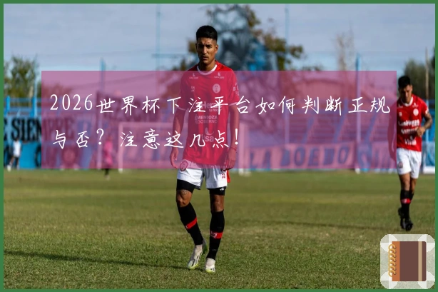 2026世界杯下注平台如何判断正规与否？注意这几点！